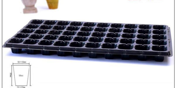 Green Seedling Tray Capacity Sweet Potato Seedling Vegetable Plant Cutting Planting Vegetable Tray - Image 8