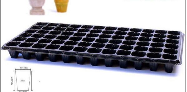 Green Seedling Tray Capacity Sweet Potato Seedling Vegetable Plant Cutting Planting Vegetable Tray - Image 6