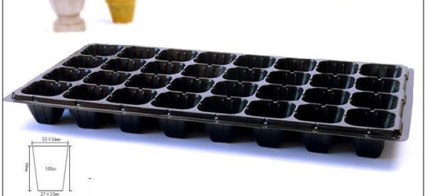 Green Seedling Tray Capacity Sweet Potato Seedling Vegetable Plant Cutting Planting Vegetable Tray - Image 4