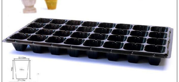 Green Seedling Tray Capacity Sweet Potato Seedling Vegetable Plant Cutting Planting Vegetable Tray - Image 7