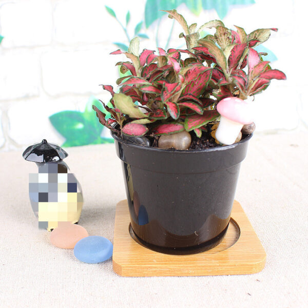 Plastic Flower Pot Black Small Round - Image 5